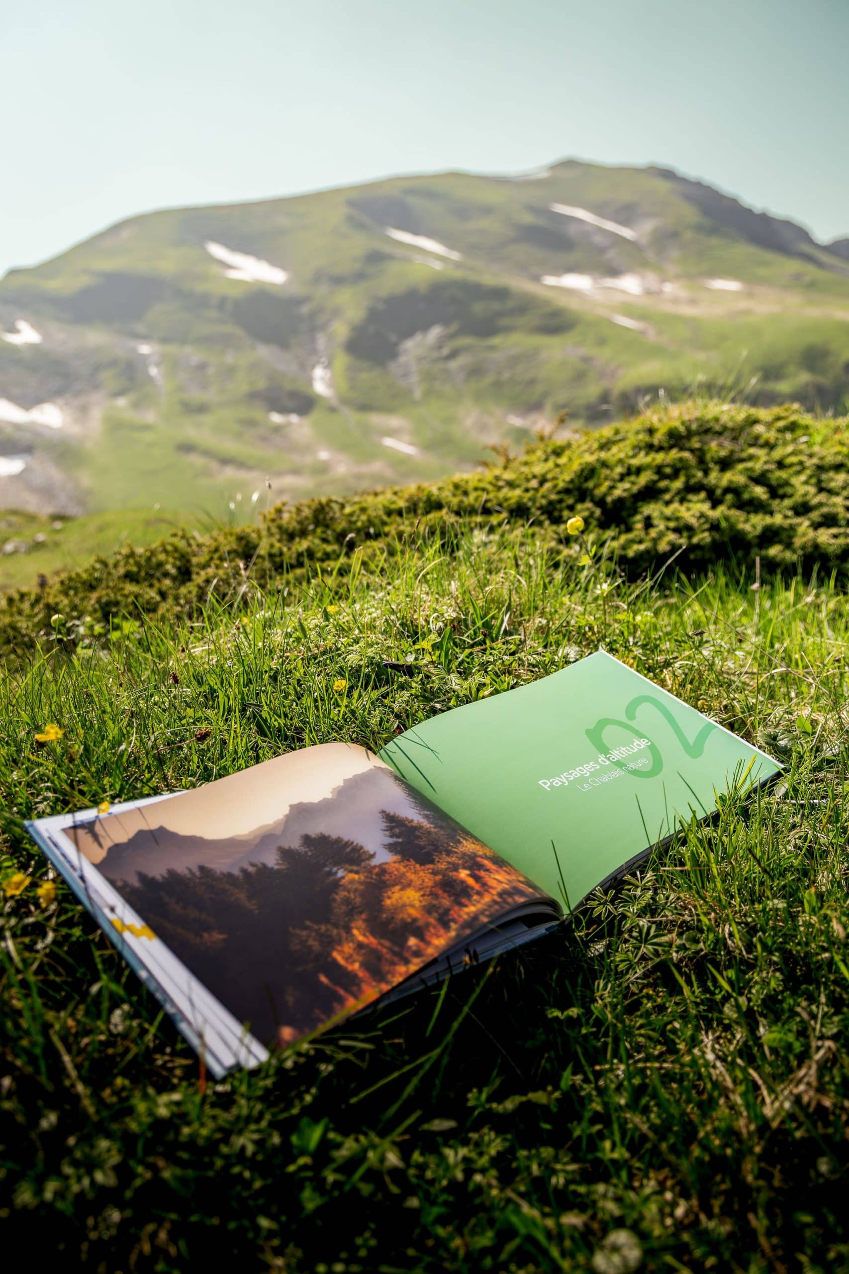 Livre PdS©Denis Angheben PortesDuSoleil 28 scaled